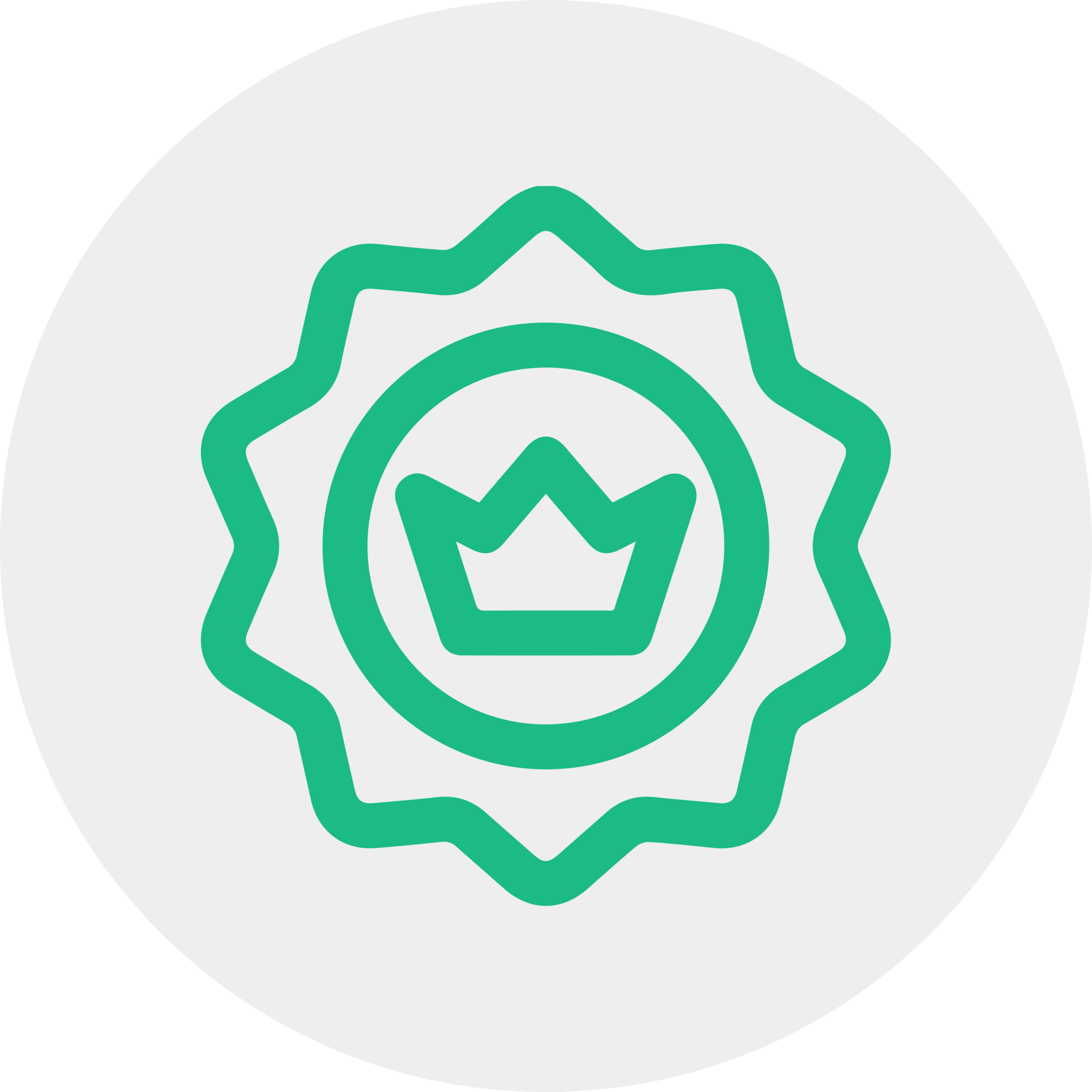 Feature Image
