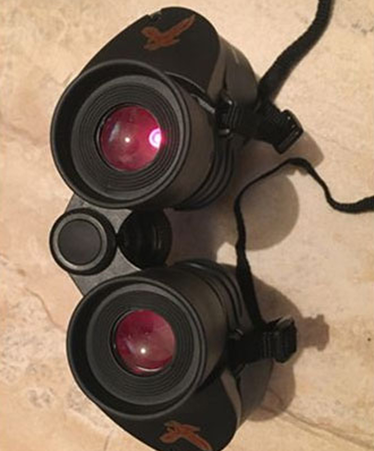 optid-hunt-img- (27)