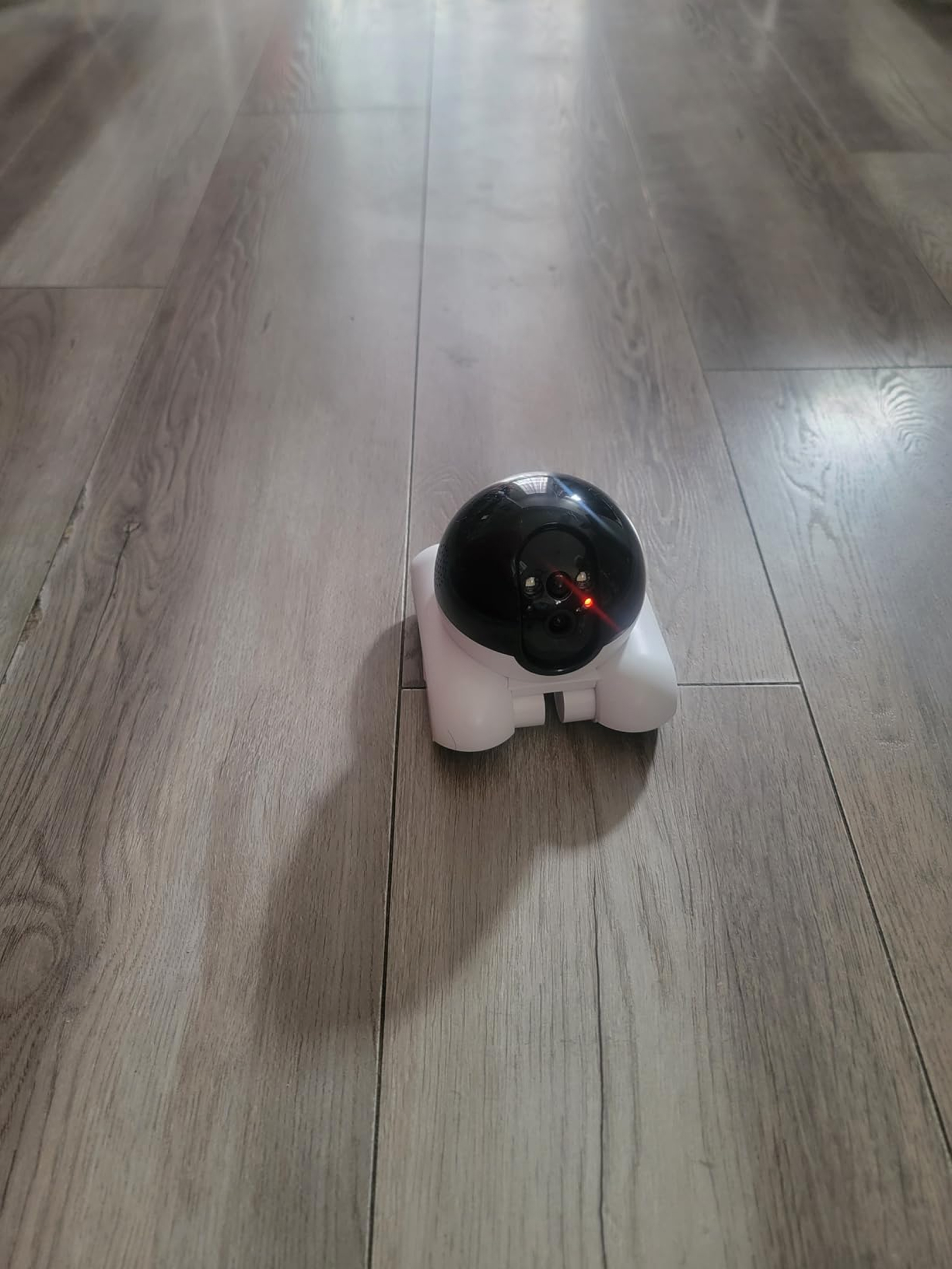hubbibot-img-20