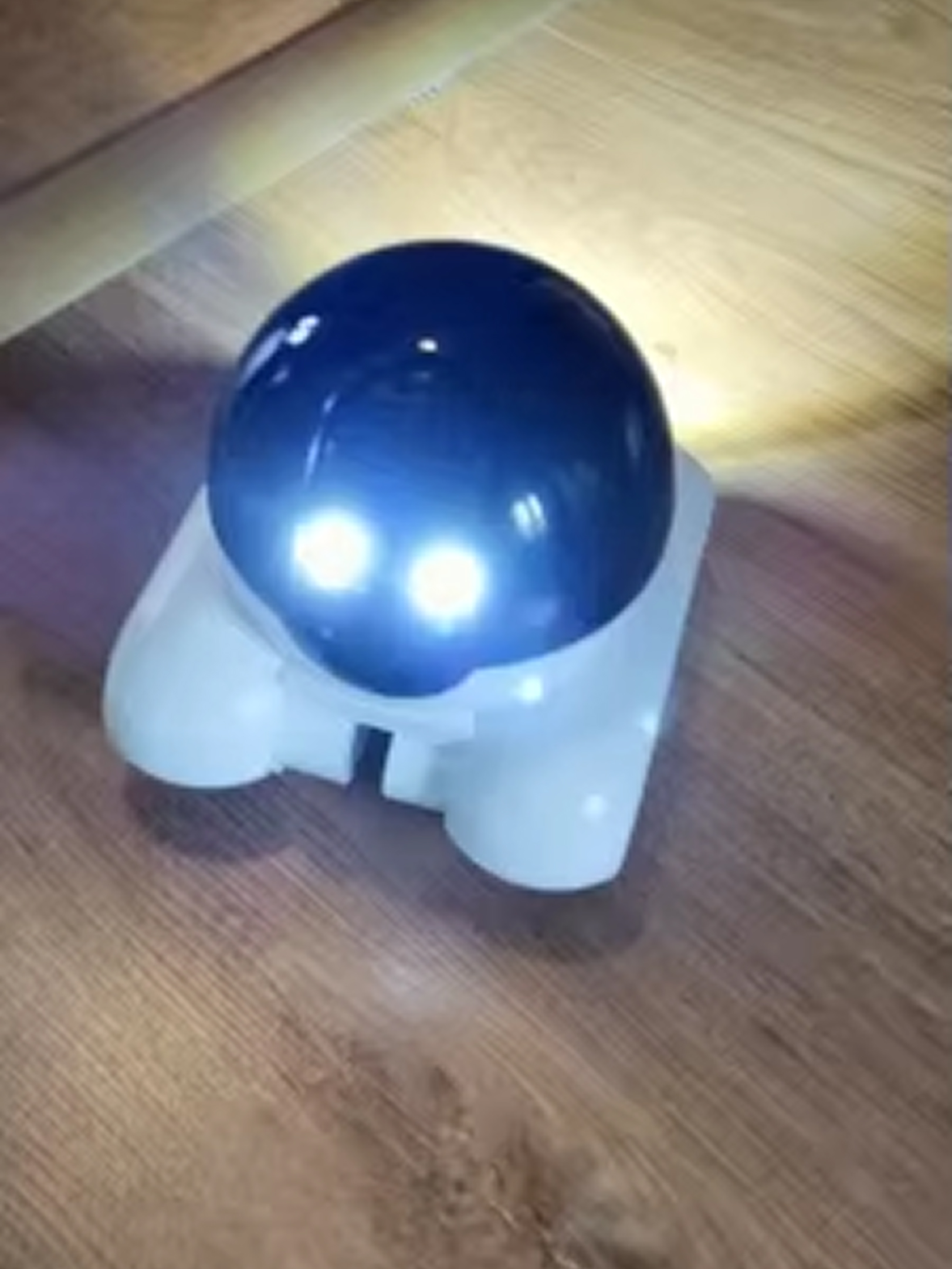 hubbibot-img-27