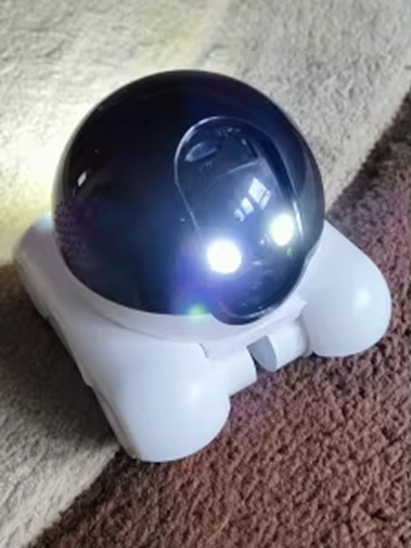 hubbibot-img-28