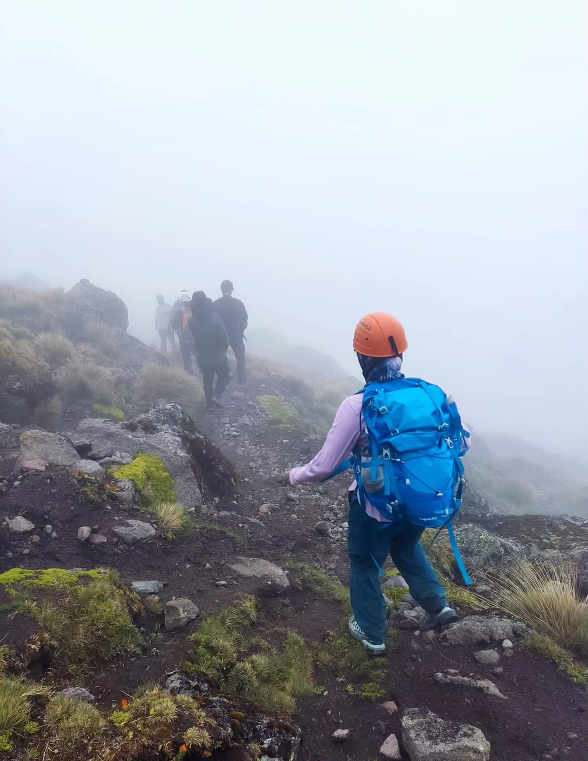 limi-packo-img- (20)